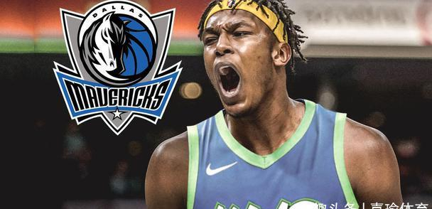 黄蜂惜败独行侠，普林斯变盖帽王的简单介绍